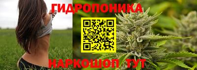 кокс Моздок